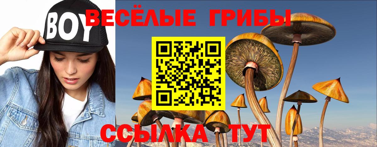 Псилоцибиновые грибы Psilocybe  Вход с VPN  Бугуруслан 